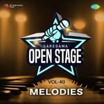 Open Stage Melodies - Vol 40 - Anuradha Paudwal Song Download